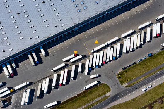 Freight forwarders and logistics companies