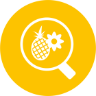 Inspection Management